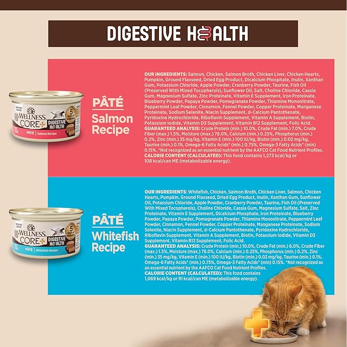 Wellness CORE+ Digestive Health Pate Adult Wet Cat Food, Natural, Protein-Rich, Grain Free, 3 Ounce, 12 Pack (Salmon & Whitefish Variety Pack)
