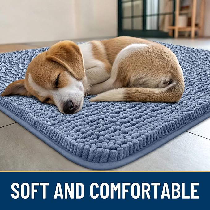 Smiry Dog Door Mat for Muddy Paws 30x20, Absorbs Moisture and Dirt Doormat, Non-Slip Washable Quick Dry Chenille Front Door Mat Indoor Entrance, Entryway Carpet for Inside Floor, Airy Blue