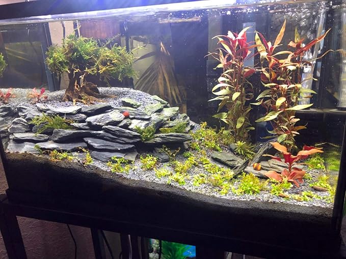 Voulosimi Natural Slate Rocks PH Neutral Stone Perfect Rocks for Aquariums, Landscaping Model,Tank Decoration,Amphibian Enclosures (12 LB, 5-7 inch)