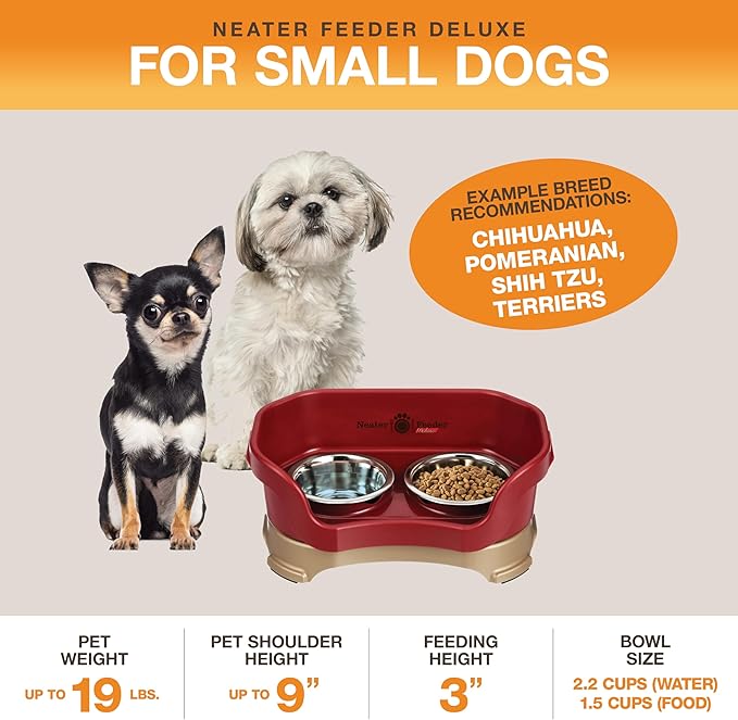 Neater Pet Brands Neater Feeder Deluxe Mess Proof Dog Bowls Elevated for Small Dogs Under 19 lbs, Made in USA, No Spill Raised Dog Food Bowl Stand Feeding Station, Food and Water Bowl Set, Cranberry