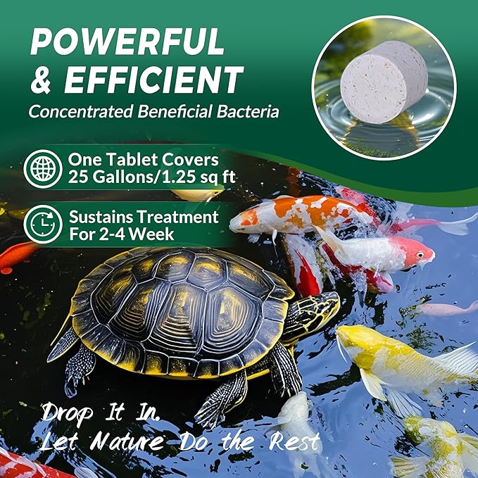 Muck Clear – Natural Pond Sludge Treatment, 250 Tablets for Ponds, Fountains & Bird Baths, Beneficial Bacteria & Enzymes, Chemical-Free & Safe for Fish, Pets & Wildlife