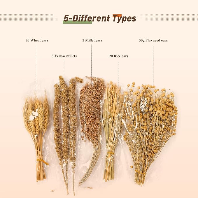 ZIPPYPET Hamster Sprays and Forage Accessories for Cages, Pet Mouse Decor Textures (5)