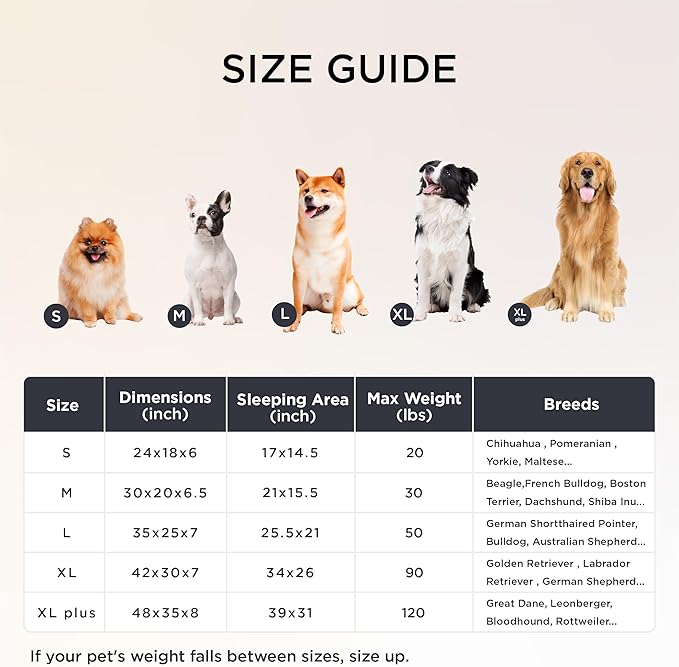 Bedsure Orthopedic Dog Bed for Small Dogs, Waterproof Memory Foam Small Pet Beds with Sides, Non-Slip Bottom and Egg-Crate Foam Medium Dog Couch Sofa with Washable Removable Corduroy Cover, Cream