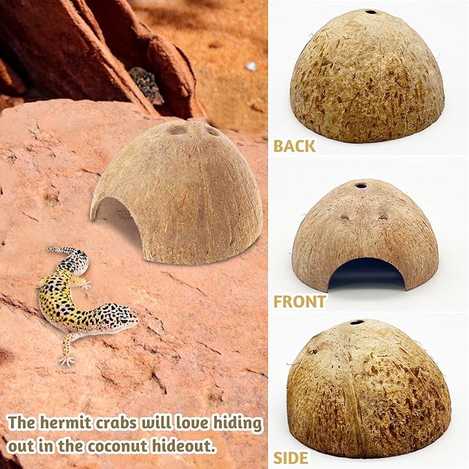 PINVNBY 6 PCS Natural Coconut Reptile Hideouts Lizard, Coco Hut Hermit Crab Hut Aquarium Fish Hide Cave for Small Reptile Crested Gecko Leopard Gecko Spider Snail Climber Toys