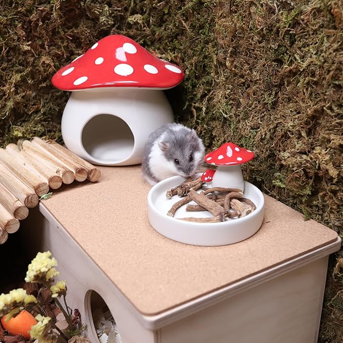 Niteangel Hamster Snack & Treats Toy - Small Animal Natural Treat for Dwarf Syrian Robo Hamsters Gerbils Mice Lemmings Degus or Other Small-Sized Pets