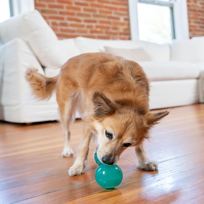 Outward Hound by Planet Dog Double-Tuff Interactive Treat-Dispensing Dog Toy, Medium, Blue