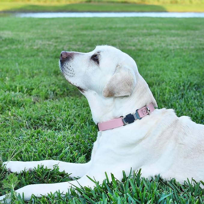 Dogline Biothane Waterproof Dog Collar with Herm Sprenger Stainless Steel Quick Release Buckle – Heavy Duty Tactical Durable Collar for Dogs – Comfortable and Safe Pet Collar, W 1" L 15-25", Pastel