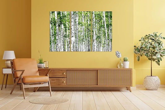 Nature Wall Art Prints - Ocean Forest Mountain Lake Canvas Landscapes - Small to Extra Large Living Room Bedroom Kitchen Bathroom Décor (Green Brich Trees, 35L" x 53W" - 3 Panels)