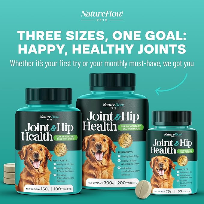 Joint Supplement for Dogs, Power of Nature Made in USA, Unique Formula: Green-Lipped Mussel, Glucosamine, Chrondroitin, MSM, Devils Claw, Hip and Joint Supplement, All Breeds - 100 ct