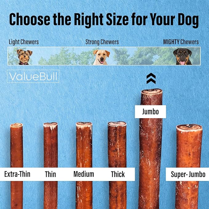 ValueBull Bully Sticks for Large Dogs, Jumbo 12 Inch, 25 Count - All Natural, Grass Fed, Single Ingredient, Long Lasting Dog Treats for Aggressive Chewers