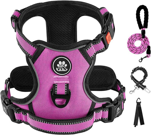 IVY&LANE No Pull Dog Harness for Medium Dogs,Dog Vest Harness with Leash,Safety Belt and Storage Strap, Fully Adjustable Harness,360° Reflective Strip,Soft Handle (Fuchsia Pink,M)