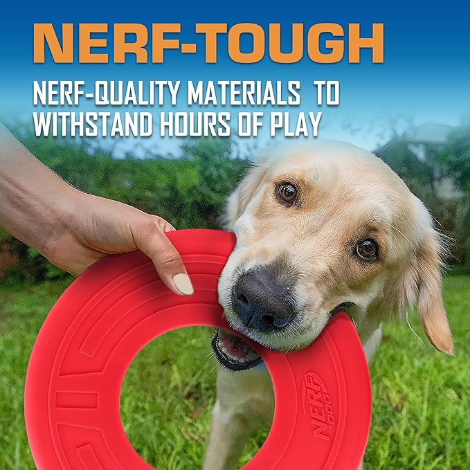 Nerf Dog Atomic Flyer Outdoor Dog Toy, 10 Inch Flying Disc Dog Fetch Toy, Rubber Dog Toy for Medium Dogs and Large Dogs, Red