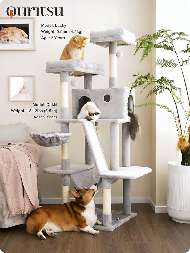 Ouritsu Cat Tree, 61 inch Tall Cat Tower for Large Cat Indoor, Enlarged Condo, 2 Padded Perches with 1 Widened, Large Hammock, Scratching Post and ramp, Fluffy Basket, Light Gray, LF002GA