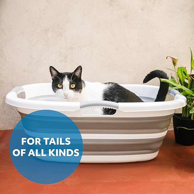 Smoochie 2 in 1 Dog Bathtub Washing Station, Elevated Pet Bath Tub, Collapsible and Portable Bathtub for Dogs, Cats Bathing, Shower and Grooming, Indoor and Outdoor