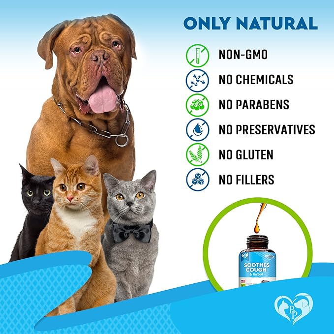 Kennel Cough Treatment & Natural Infection Medicine for Dogs & Cats - Respiratory & Cold Cough Relief - Collapse Trachea & Cat Asthma Support - Made in USA