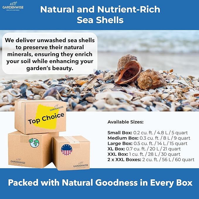 Natural Organic Sea Shell Mulch for Gardens and Landscaping – Decorative and Nutrient-Rich, 0.5–3-Inch Shells, Perfect for Indoor and Outdoor Use (0.2 CF - 4.8 L - 5 QTS)