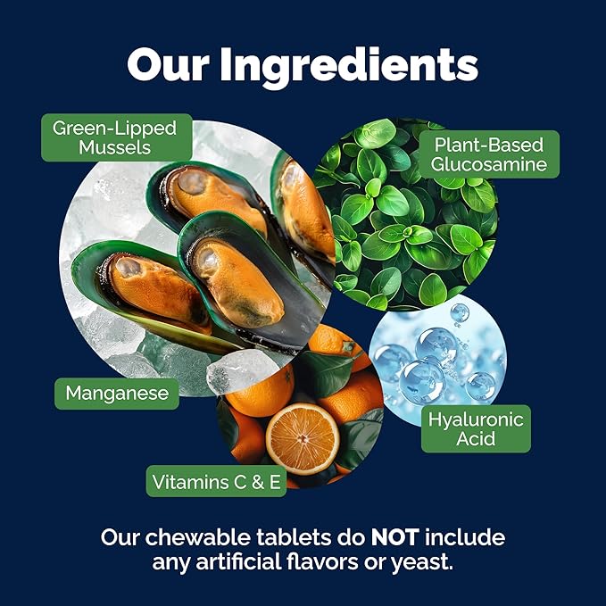 Yumove Hip & Joint Supplement for Dogs - with Glucosamine Chondroitin, Omega 3, Hyaluronic Acid, Green Lipped Mussel & Fish Oil for Dogs - Senior Dog Joint Supplement (240ct Chewable Tablets)