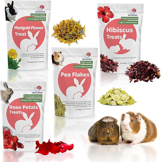 Snout and Shell Floral Favorites 4-in-1 Natural Treats for Small Pets – Pea Flakes, Marigold, Rose Petals & Hibiscus – Healthy Snacks for Rabbits, Guinea Pigs, Chinchillas & More