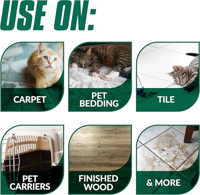 Simple Green Cat Stain & Odor Remover - Enzyme Cleaner for Cat Urine, Feces, Blood, Vomit (32 oz Sprayer & 1 gallon Refill)