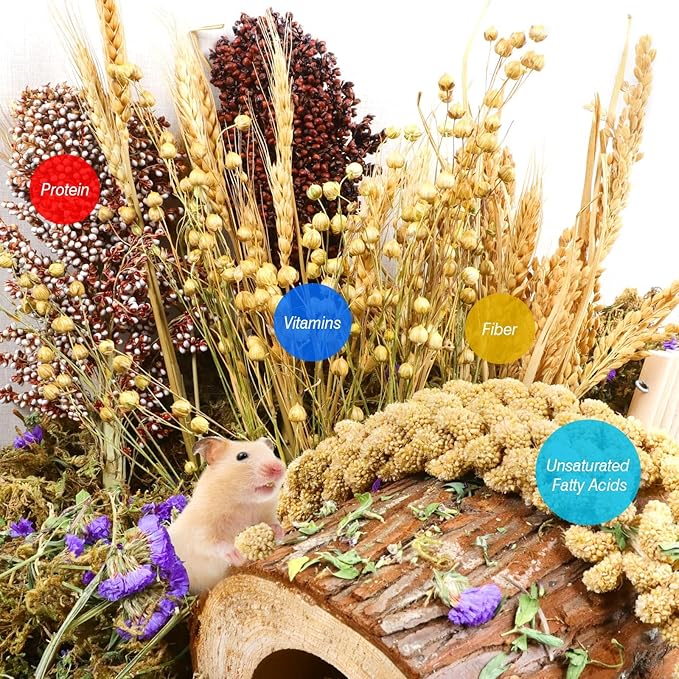 Natural Hamster Bedding, Hamster Herbs Flowers for Hamster Cage Enclosure Habitat Decor Hamster Sprays for Dwarf Syrian Guinea Hamsters Gerbil Degus or Other Small Animals（Grain Version）