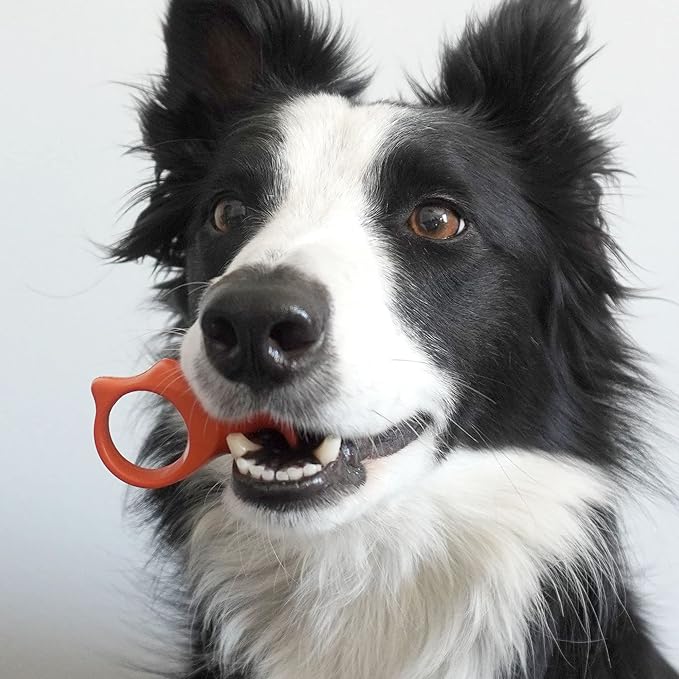 Pet Toothbrushing Assistant for Puppies' Dogs and Cats Allows You to Brush Your pet’s Teeth Without Constantly Worrying About Getting Bitten. (Orange, Medium)