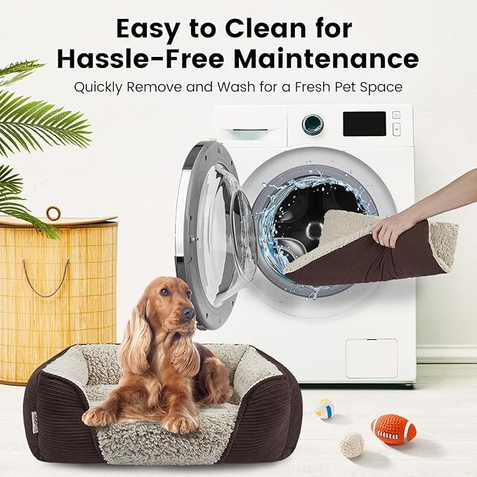 Miguel Washable Dog Bed with Removable Cushion for Small Dogs, Easy to Wash Pet Sofa Bed with Side, Rectangle Bolster Cat Bed Calming Cuddle Puppy Bed with Anti-Slip Bottom, Dark Brown 20 Inch
