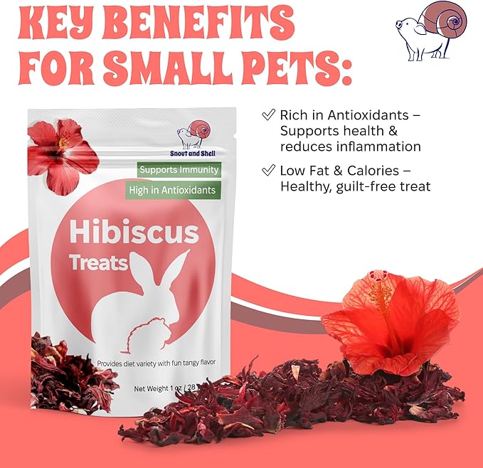 Snout and Shell Hibiscus Treats – 100% Natural Dried Flowers for Small Pets – Immunity Support & Antioxidants – Healthy Snack for Rabbits, Guinea Pigs, & Chinchillas (1 oz)