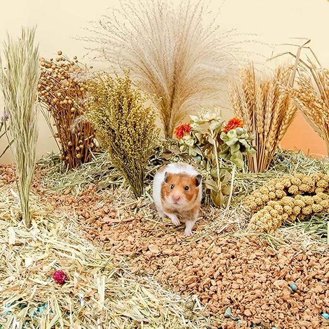 Natural Ear of Grain Flower&Herb Bedding Mate Habitat Decor, Adding Fun Hamster Accessories for Hamsters Gerbils Lemming