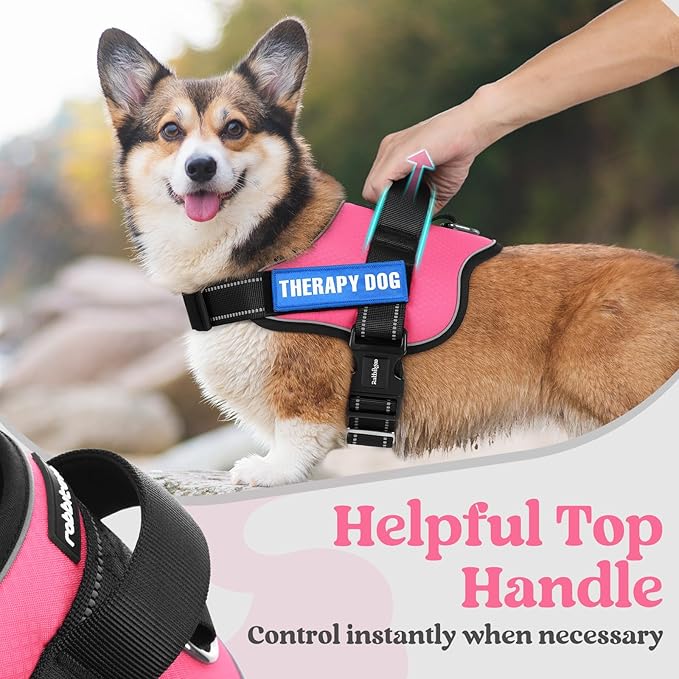 rabbitgoo Dog Harness for Large, Easy On Pet Vest with One Buckle, No Pull Adjustable Service Harness with D-Ring & Handle, Reflective for Safety Walking, Training, Pink, XL