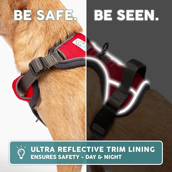 Embark Adventure Dog Harness, Reflective Trim No Pull Dog Harnesses for Small Sized Dogs - Military Grade Nylon, Front Clip with Gel Lined Handle.