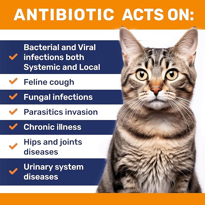Cat Antibiotic to Help with Cough & Allergies – Antibiotics for Cats to Aid with UTIs and Digestive Moments – HIPS & Joints Support – Attractive Chicken Taste – 1 Oz Bottle