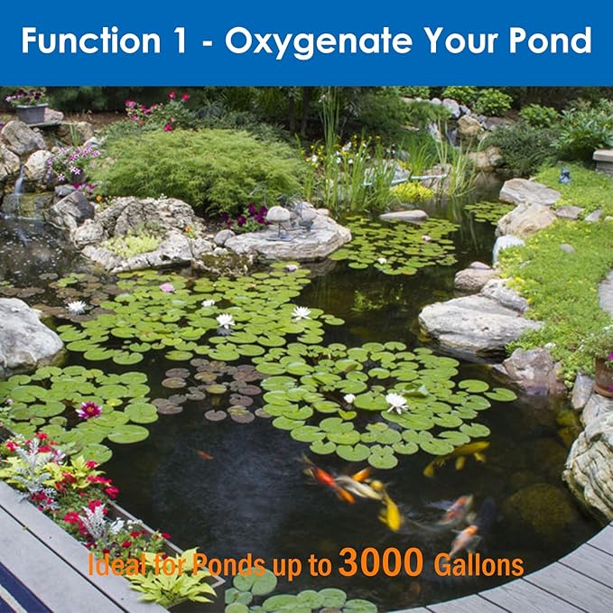 AquaMiracle All-in-One Koi Pond Aerator for Outdoor Ponds up to 3000 Gallons, Pond Air Pump Pond Aeration System with 4-Outlet Manifold Airline Tubing Air Stones Check Valves