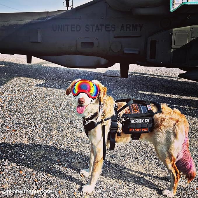 OneTigris Service Dog Vest Harness, Service Dog Cape Guardian Dog Backpack Harness with Pouches Dog Saddle Bag for Small Medium and Large Dogs (Black, M)