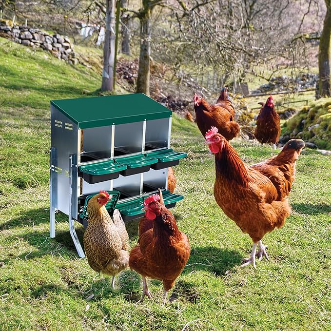 Nesting Boxes for Chickens, Chickens Laying Boxes for Chicken Coop with Legs, 6 Compartments Chicken Nesting Boxes, with Removable Tray, Easy Cleaning, for Hens Outdoor Chicken Coop Farm Yard, Green