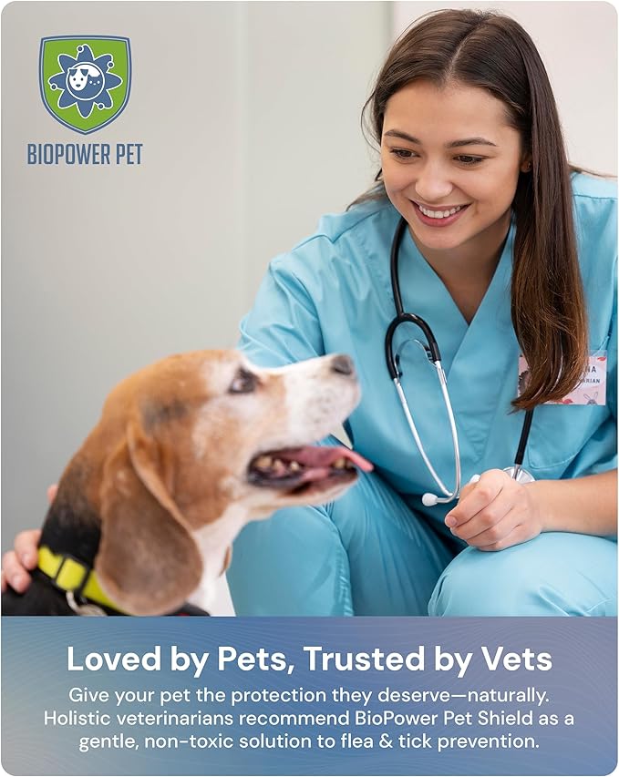 Natural Flea & Tick Repellent Collar Tag for Dogs & Cats – BioPower Pet Shield – Safe for Pets When Used as Directed – Lasts 1 Full Year - Small/Regular Tag Bundle (1 Pack)