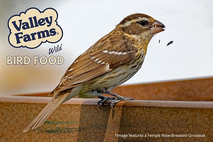 Valley Farms Cardinal Mix (10 LB) Wild Bird Food for Outside Feeders, Cardinal Bird Seed with Black Oil Sunflower Seeds and Safflower Seeds, Attract a Variety of Wild Birds