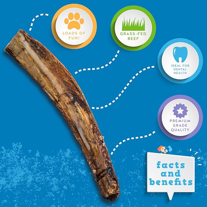 Jack&Pup 12" Rib Bones for Dogs, All Natural Dog Beef Bones, Single Ingredient Bone Marrow, Real Bone for Dogs (3 Pack)