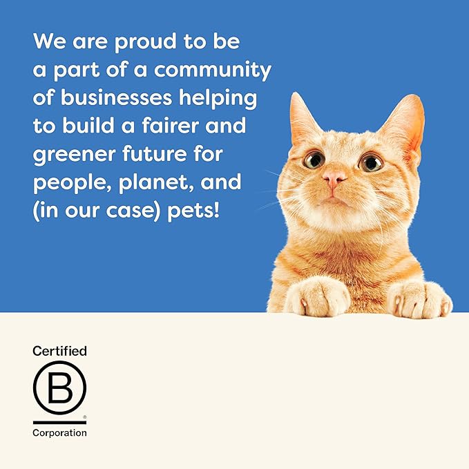 Applaws Natural Wet Cat Food in Broth, Limited Ingredient Wet Cat Food Pouches, No Additives, Made with Natural Ingredients, Tuna Fillet with Seabream in Broth (12 x 5.3oz Pouches)