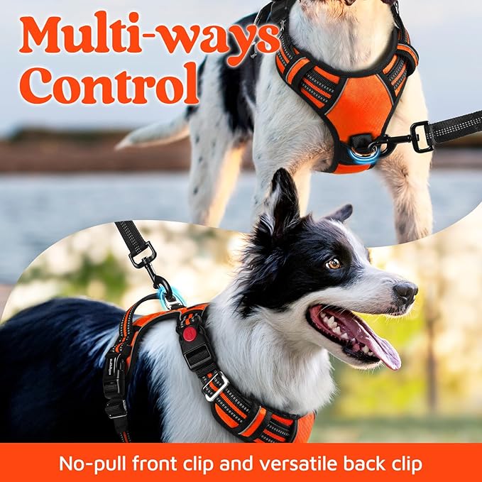 rabbitgoo Dog Harness for Large Dogs, No Pull Pet Vest with 3 Buckles, Adjustable Soft Padded Pet Harness with Easy Control Handle and Reflective Strips, Orange, L