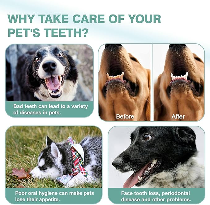 Leoezx™ Professional Pet Toothbrush(4Pcs), Dog & Cat Soft Bristle Double-Sided Brush Head Set, Pet Brushing Teeth to Clean Teeth to Reduce Tartar Buildup, Pet Dental Care Essentials