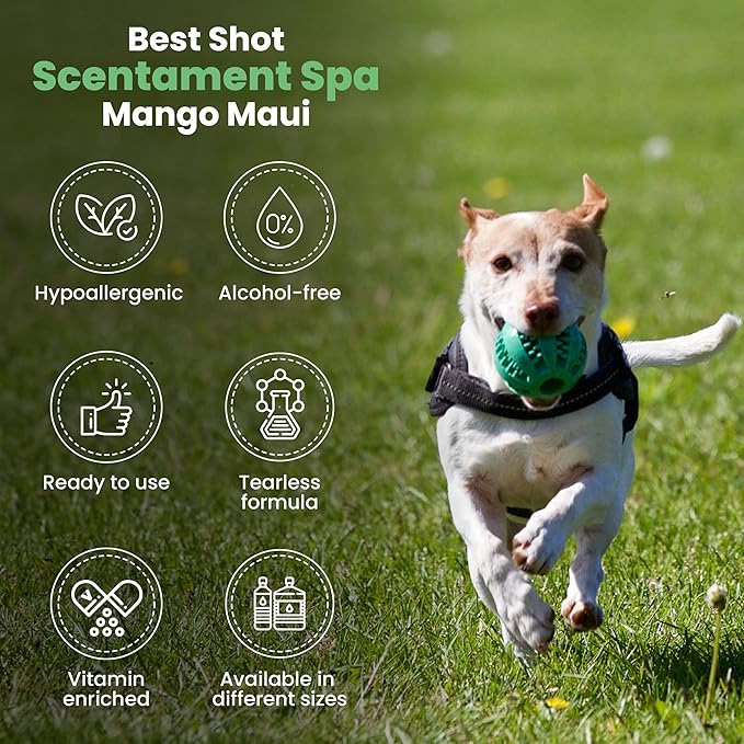 Best Shot Scentament Spa for Pets, Seasonal Facial Spa and Body Wash, Mango Maui, Tearless Shampoo, Hypoallergenic Body Wash, Reduces Tear Stains, 1 Gallon