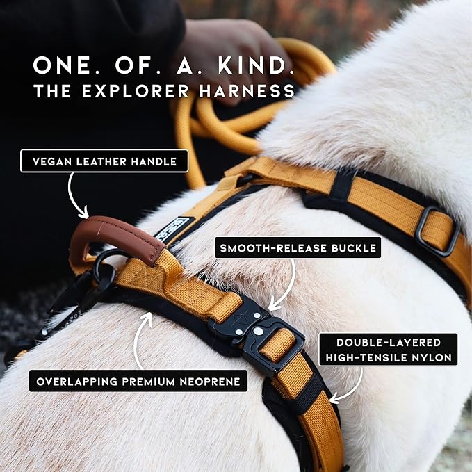 MADE TO ROAM Premium Explorer Harness - Y-Shaped Dog Harness with Adjustable Durable Nylon, Soft Padding, Metal Buckles and Leather Handle for Small, Medium, Large Dogs (New York Afterlight, Size 3)