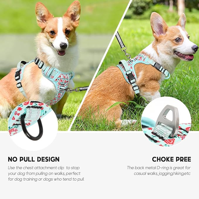 Timos Dog Harness, 3 Snap Buckles No-Pull Soft Padded Dog Vest with 2 Metal Leash Clips,Adjustable Reflective No Choke Pet Harness with Easy Control Handle for Small Dogs,Cyan,S