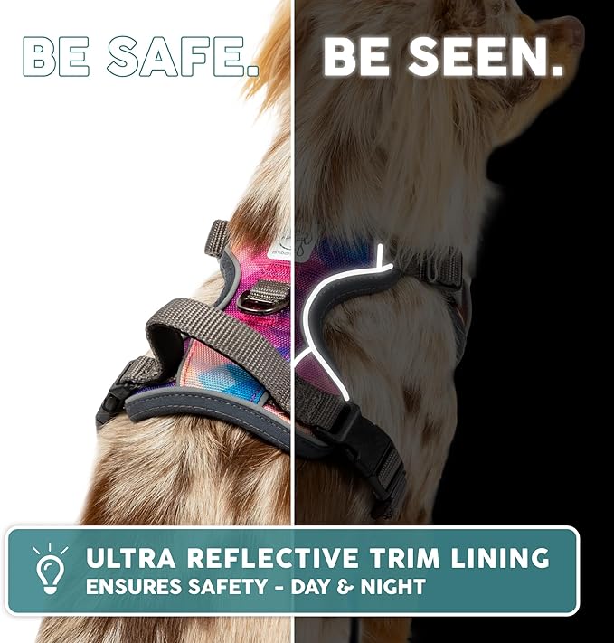 Embark Adventure Dog Harness, Reflective Trim No Pull Harness for Medium Sized Dog - Military Grade Nylon, Front Clip with Gel Lined Handle. Soft & Padded Puppy