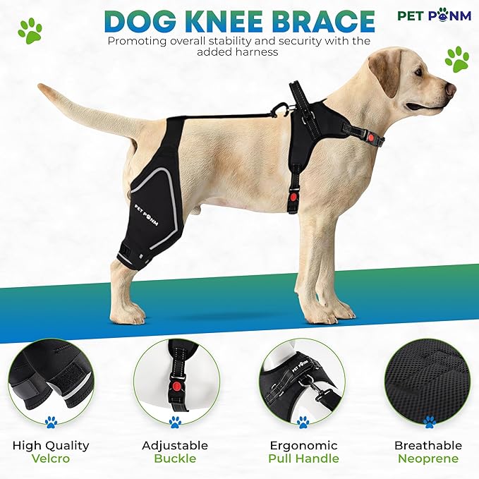 Petpanm- Adjustable Dog Knee Brace- Right Hind Leg with Integreted Harness- Premium Support for Torn ACL, Sprains & Strains Recovery, Enhances Mobility, Comfortable Neoprene- (Small)