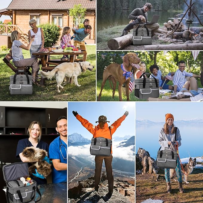 BAGLHER Dog Travel Bag for Supplies - Double-Layer Airline Approved Weekend Pet Travel Organizer Set for Dog and Cat Tote with 2 Pet Food Containers and 2 Collapsible Silicone Bowls Grey