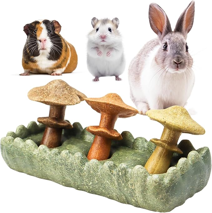 TEEWY 4PCS Guinea Pig Chew Toys, Prevent Teeth Overgrowth, Natural Vegetables and Timothy Grass, Hamster Chew Toys, Guinea Pig Toys, Chinchilla Toys, Grass Patch & Mushrooms