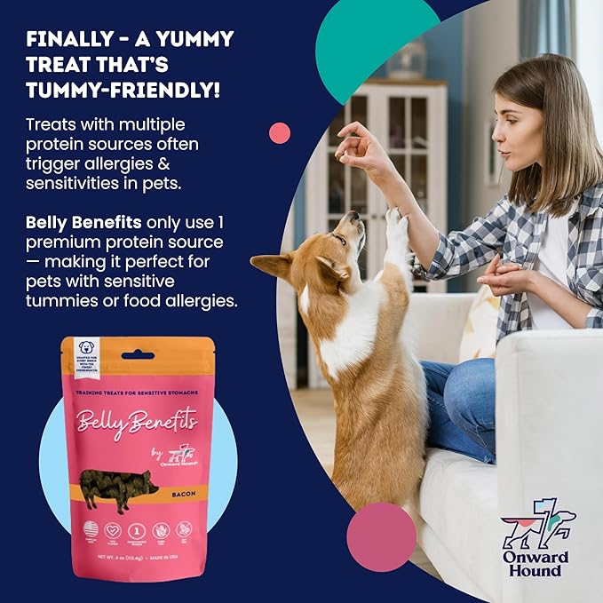 Training Treats for Dogs - Soft Salmon - Low Calorie Dog Training Treats for Sensitive Stomachs with Single Source Premium Protein, Corn Free, & Soy Free Formula - 4 oz