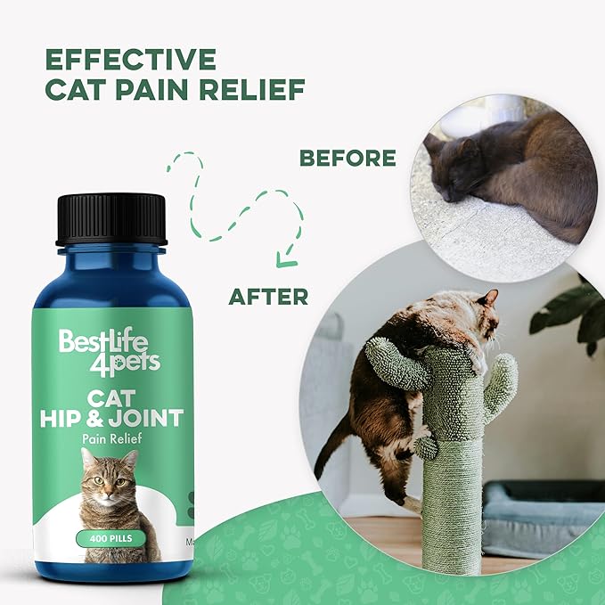 Cat Hip and Joint Pain Relief Supplement, Cat Arthritis Pain Relief, Heal from Sprains, Inflammation and Injuries, Improve Mobility, Natural Easy-to-Swallow, Odorless, Tasteless, 400 Pills