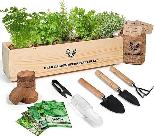 5 Herb Seeds Garden Starter Kit with Complete Planting Kit & Wooden Flower Box, Growing into Basil, Parsley, Rosemary, Thyme, Mint for Kitchen Windowsill Herb Garden DIY